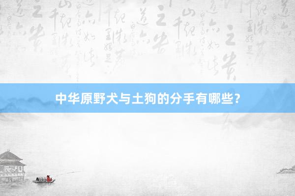 中华原野犬与土狗的分手有哪些？